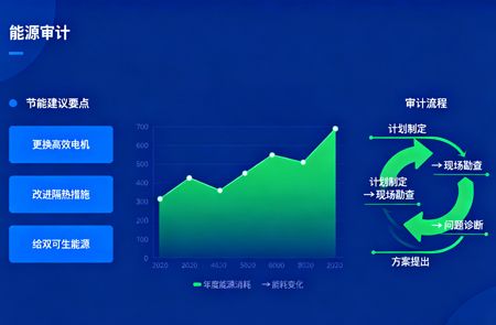 孟村能源审计报告